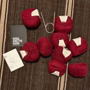 Wool and the Gang Red Yarn Set